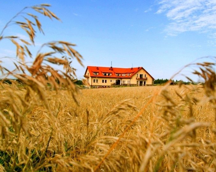 leczenie uzaleznien torun
